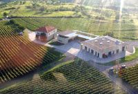 Bodegas Lacerta Rumanía